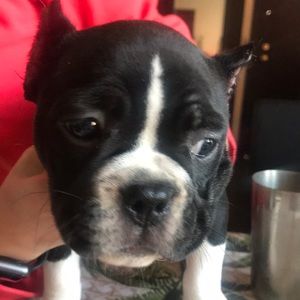 Meet your Posher, Daiana